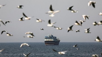 Foto: Ilustrasi kapal di Selat Hormuz (REUTERS/Amr Alfiky)
