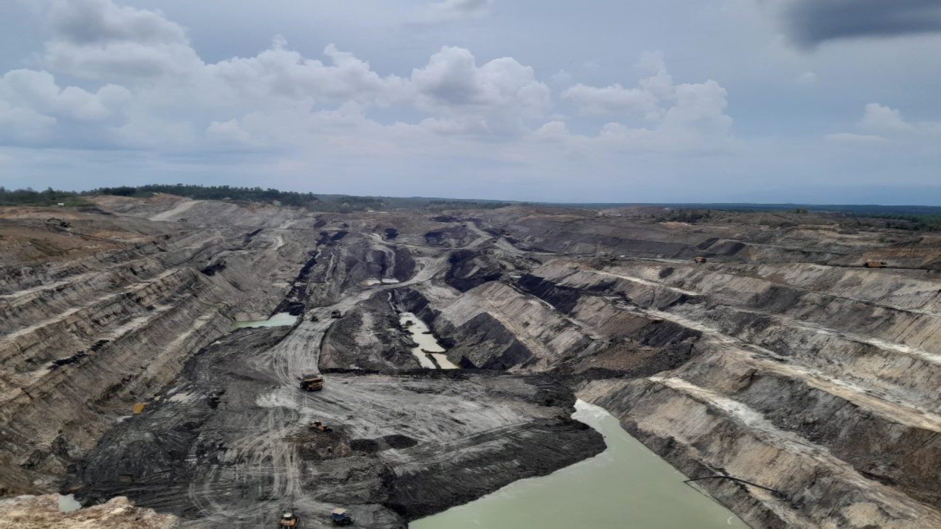 Grup Salim Kokoh di Saham BUMI, Intip Transparansi Data Terbaru dari BEI