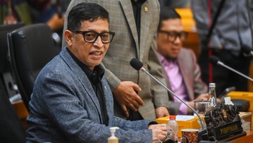 Ketua Badan Legislasi (Baleg) DPR Bob Hasan. (ANTARA FOTO/Rivan Awal Lingga)