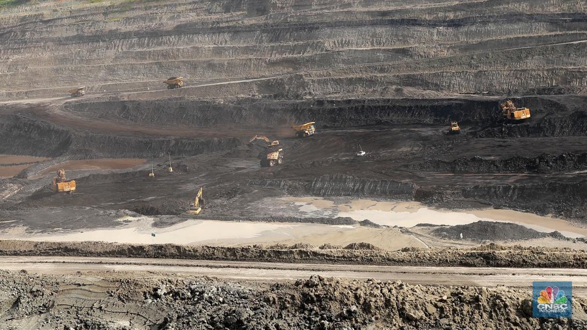 Foto: Aktivitas pertambangan batubara milik Bayan Resources di Tabang/Pakar, Kalimantan, Jumat (17/11/2023). (CNBC Indonesia/Muhammad Sabki)