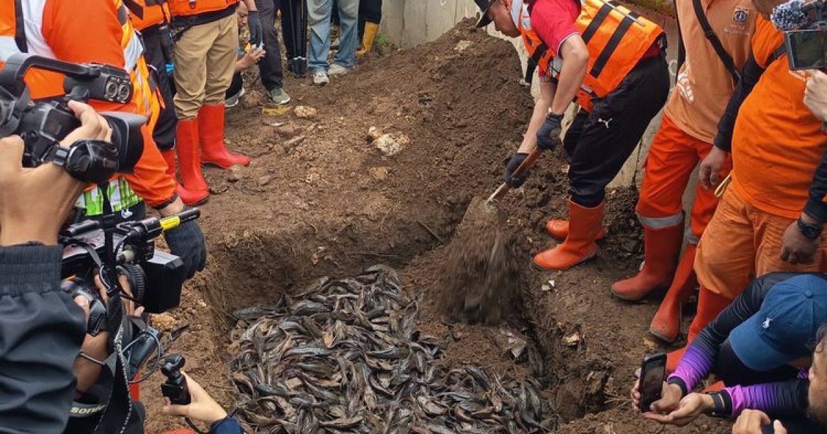 Pemandangan saat Wali kota Jakarta Timur Munjirin ketika mengubur ikan sapu-sapu di kawasan Kramat Jati pada Jumat, 17 April 2026. (Foto Febryan Kevin/Kompas.com)