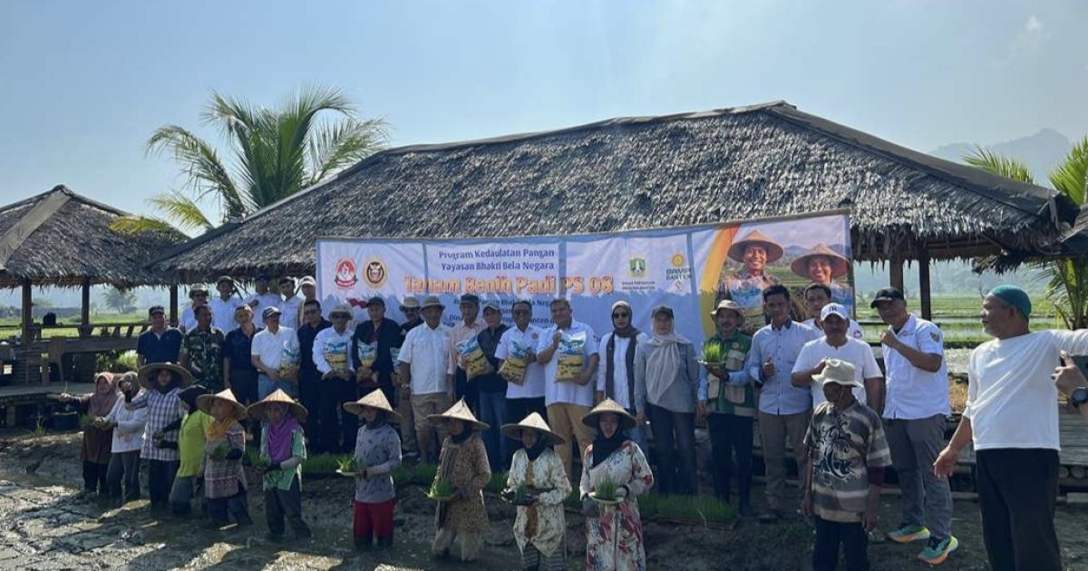 Swasembada Pangan di Banten, Lahan Seluas 1.500 Hektare di Carita Disulap Jadi Lumbung Padi Ajaib