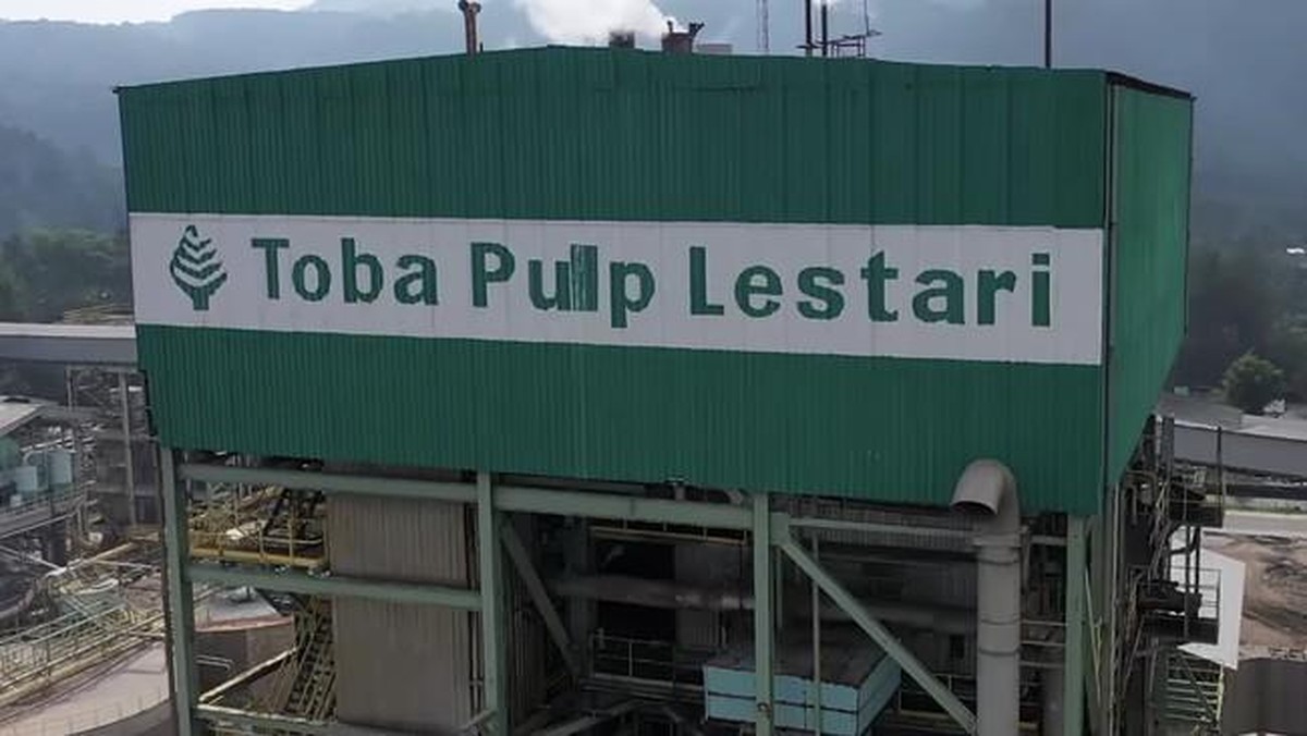 Izin Konsesi Terancam, Toba Pulp Lestari Umumkan PHK Massal Efek Pencabutan PBPH