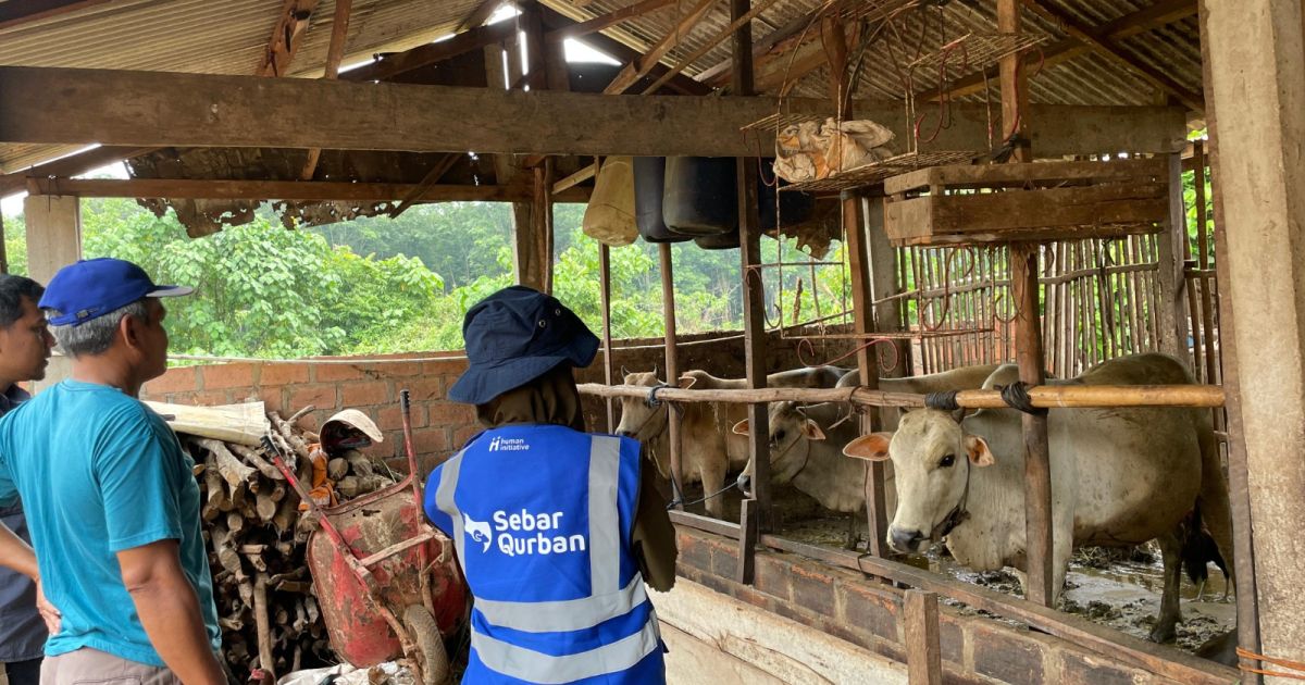 Human Initiative luncurkan Flash Sale Qurban 2026 mulai Rp1,7 juta. [Foto: ist]