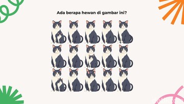 Pertama, kalau teliti, jumlah kucing di gambar ini sebenarnya lebih banyak dari yang terlihat, lho. Kira-kira ada berapa kucing ya? (Foto: detikHealth/Daffa Ghazan Pradipta)