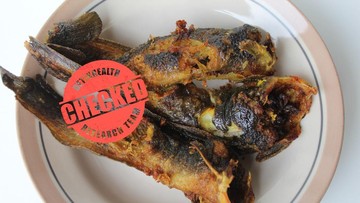 Lele ikan yang jorok? Foto: iStock