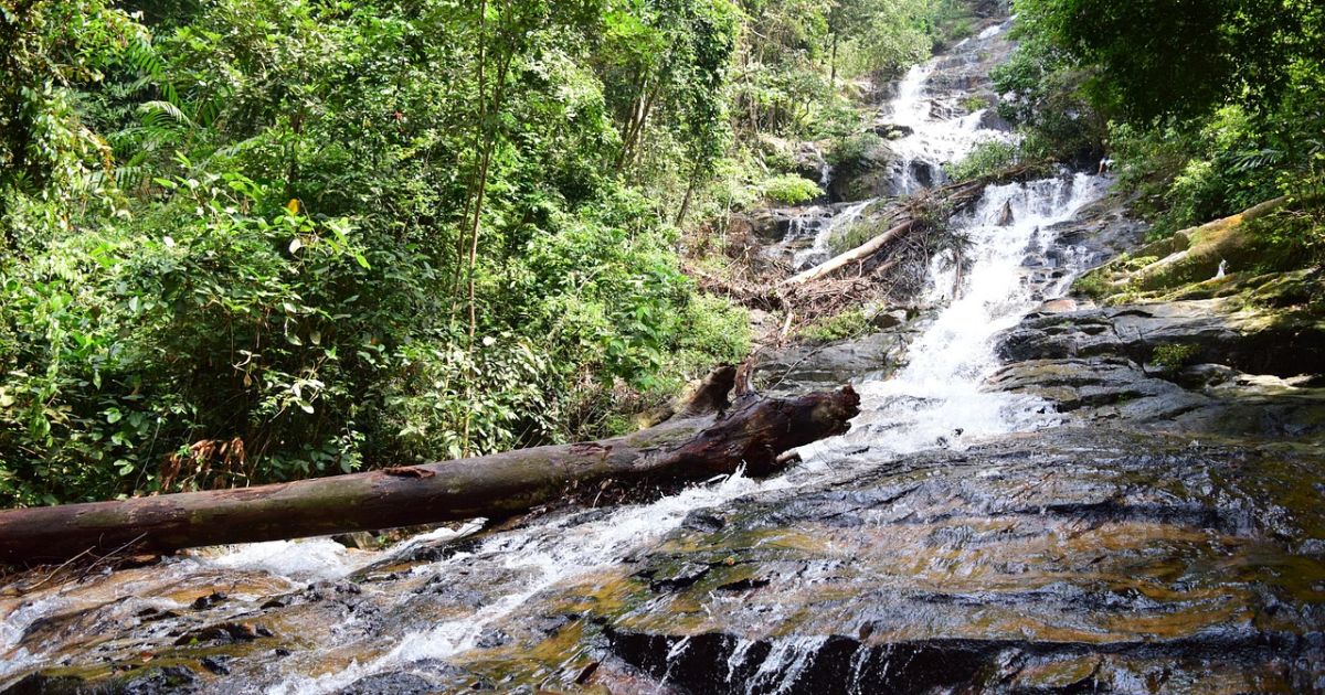 Ilustrasi destinasi wisata di Sentul yang menyenangkan