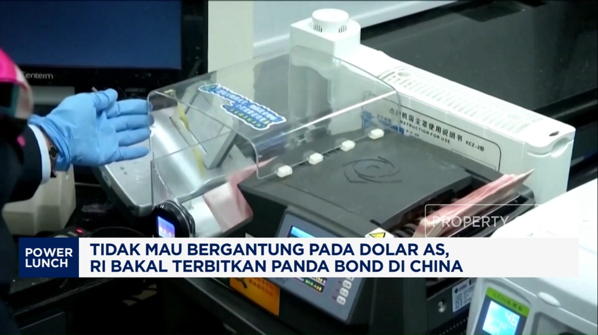 Langkah Strategis Indonesia Diversifikasi Pembiayaan: Penerbitan Panda Bond untuk Memperkuat Rupiah
