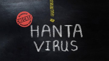 Hantavirus merupakan umbrella term untuk sekelompok virus dalam family Hantaviridae. Andes virus termasuk di dalamnya. Foto: iStock