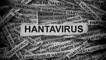IDAI Tegaskan Prioritas Vaksinasi Difteri dan Campak di Tengah Kekhawatiran Virus Andes