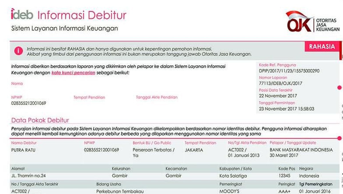 Foto: Dok OJK (Contoh SLIK)