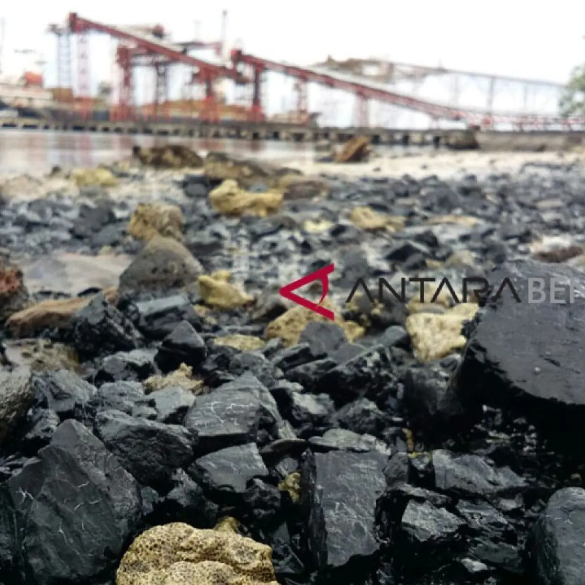 tumpukan batu bara di pelabuhan (Foto: Antaranews)