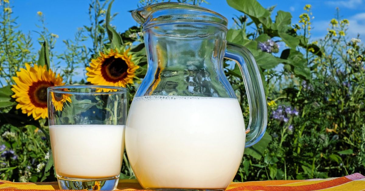 Ilustrasi manfaat minum susu secara rutin [Foto:Pixabay]