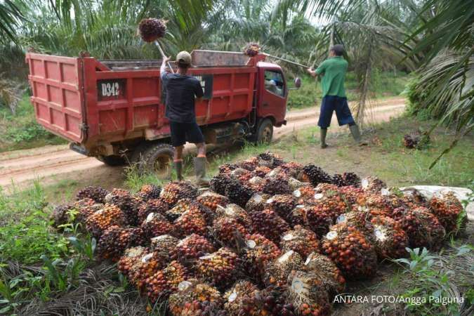 Ilustrasi: Analisis Gapki Terkait Dampak Pelemahan Nilai Tukar Rupiah Terhadap Industri Sawit