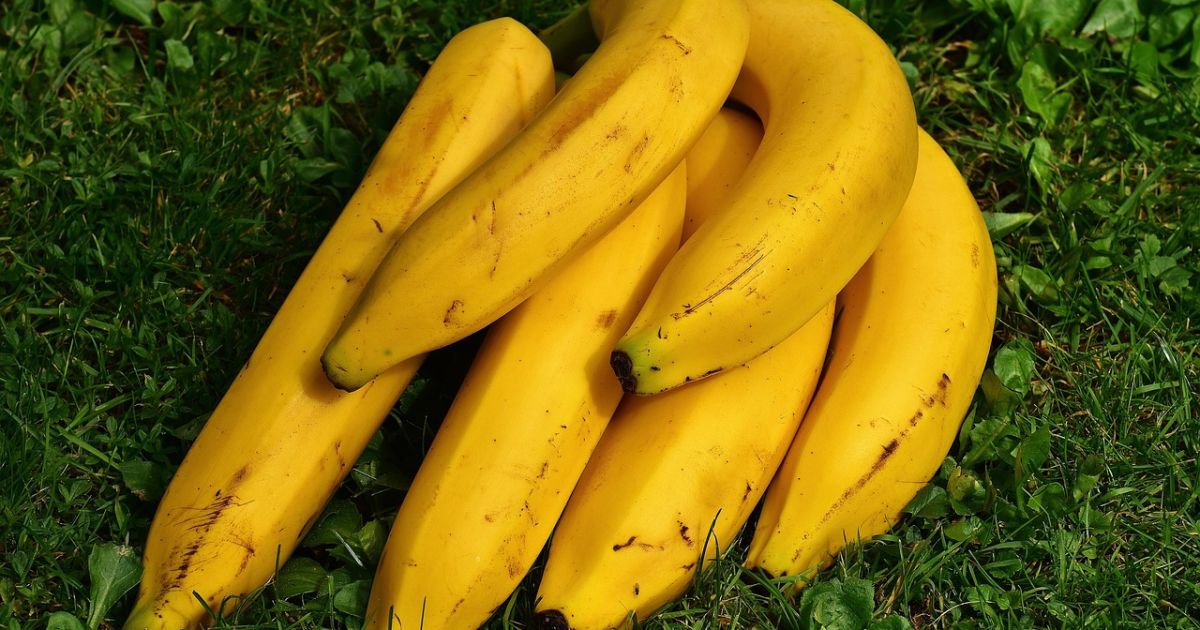 Ilustrasi makanan sehat untuk penderita asam urat [Foto:Pixabay]