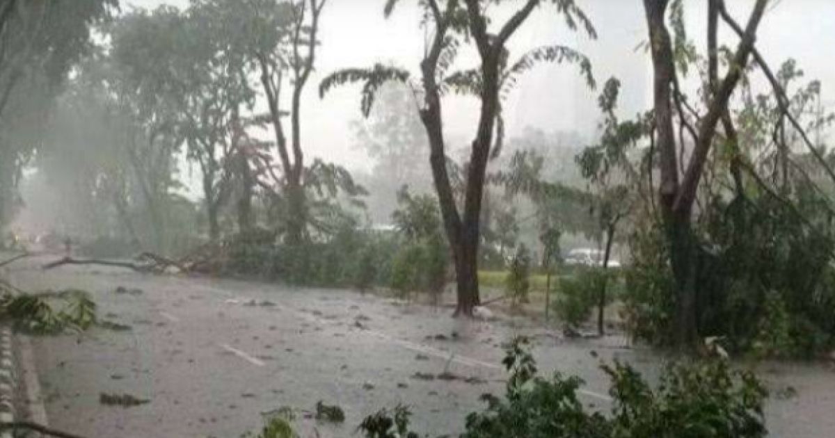 BMKG Waspadai Jabodetabek Lima Hari ke Depan: Risiko Banjir dan Pohon Tumbang Mengintai Warga