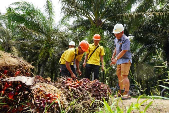 Ilustrasi: Prospek Cerah Industri Sawit Indonesia: Strategi Konservatif dan Inovasi Pendapatan Jadi Kunci CSRA Hadapi Tekanan Biaya
