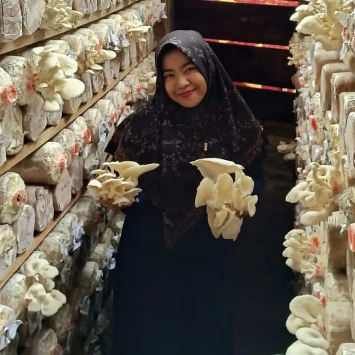 Hafsah Pohan, pendiri dan pemilik usaha budidaya jamur tiram Trisha di Pulau Nias, Sumatera Utara.(DOKUMENTASI PRIBADI HAFSAH POHAN)
