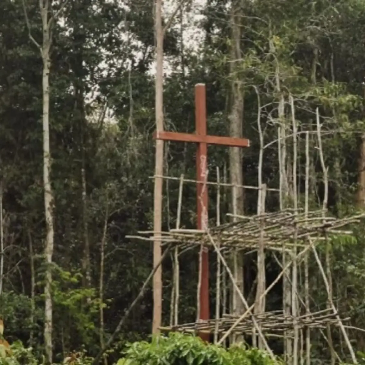 Sorotan Kontroversi Agraria Papua: Dokumenter 'Pesta Babi' Kini Dapat Diakses Gratis di YouTube