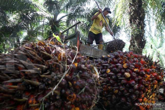 Strategi Jitu Indonesia Amankan Dominasi Harga Minyak Sawit di Tengah Fluktuasi Pasar Dunia