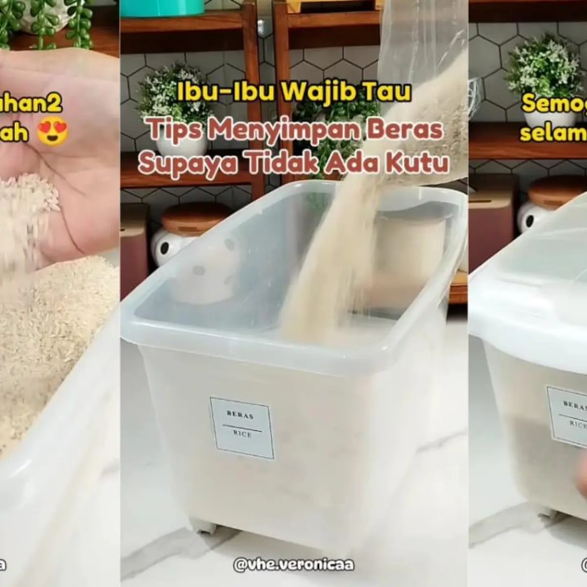 Tips Simpan Beras Agar Tahan Bertahun-Tahun dan Bebas Kutu