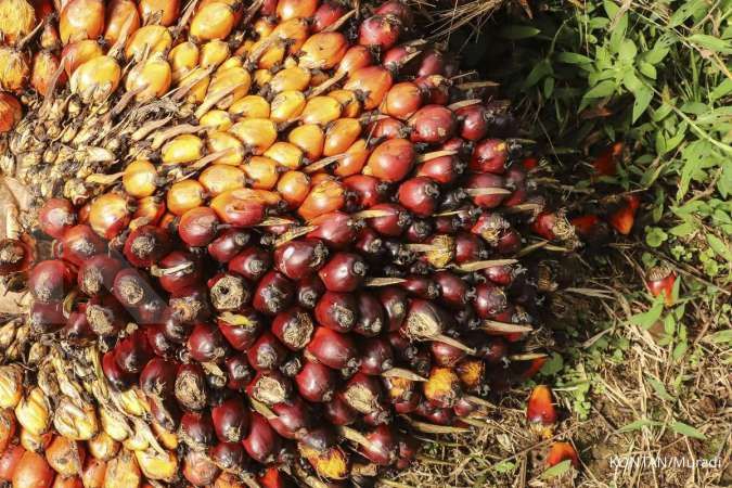 Ilustrasi: Kementerian Pertanian Turun Tangan: 139 Pabrik Kelapa Sawit Disorot Karena Beli TBS di Bawah Harga Acuan