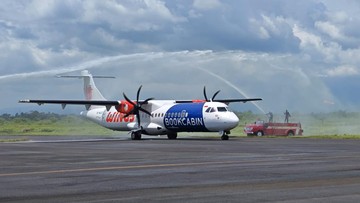 Ilustrasi Wings Air (Lion Group)