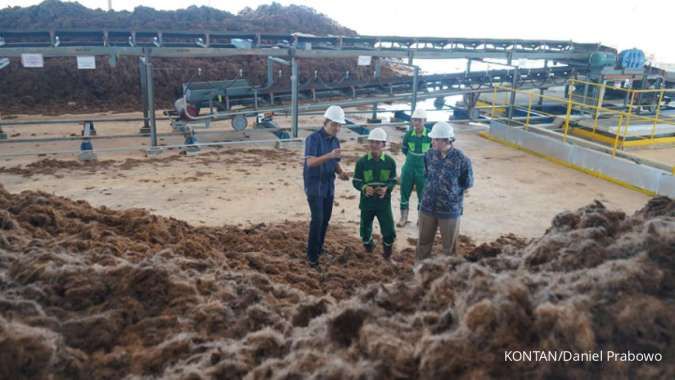 Ilustrasi: Energi Terbarukan Terabaikan: Mengapa Potensi Biomassa Raksasa Indonesia Belum Jadi Agenda Utama Pemerintah?