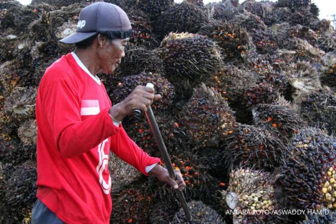 Ilustrasi: Kepastian Dana Sawit: BPDP Tegaskan Pungutan Ekspor CPO Tetap Berlaku Meski Ada Mekanisme DSI