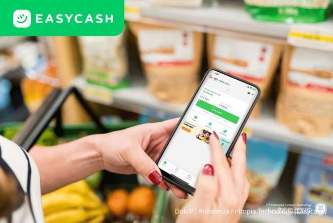 Ilustrasi: Mengungkap Alasan Utama Investor Asing Tertarik Suntik Dana ke Sektor Fintech Lending Indonesia