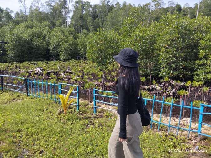 Ilustrasi: Sinergi BKPH dan PT STM Kunci Stabilitas Ekonomi dan Konservasi Hutan di Bima Dompu