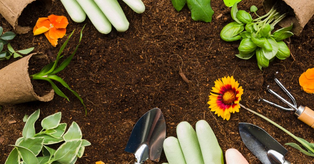 Ilustrasi berkebun untuk kesehatan mental [Foto:Magnific]
