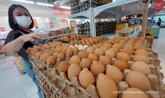 Ilustrasi: Antisipasi Harga Anjlok, Bapanas Siagakan Mekanisme Penyerapan untuk Stabilisasi Telur dan Daging Ayam Peternak
