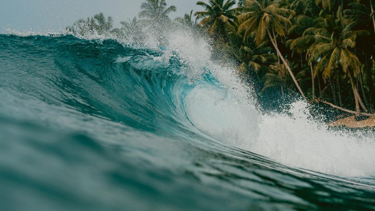 Foto: Ilustrasi Tsunami. (Dok. Freepik)