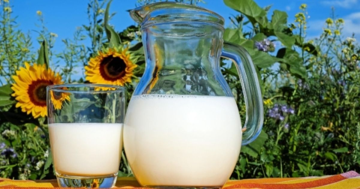 Tradisi dan makna dibalik anjuran minum susu putih pada 1 Muharram. [Foto: Pixabay/@Couleur]