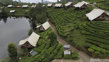 Penginapan Glamping Lakeside Bandung. Foto: Wisma Putra/detikcom