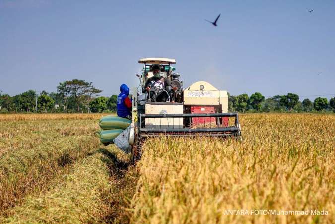 Ilustrasi: Syngenta Hadirkan Terobosan Fungisida Canggih untuk Maksimalkan Hasil Panen Padi Petani di Jember