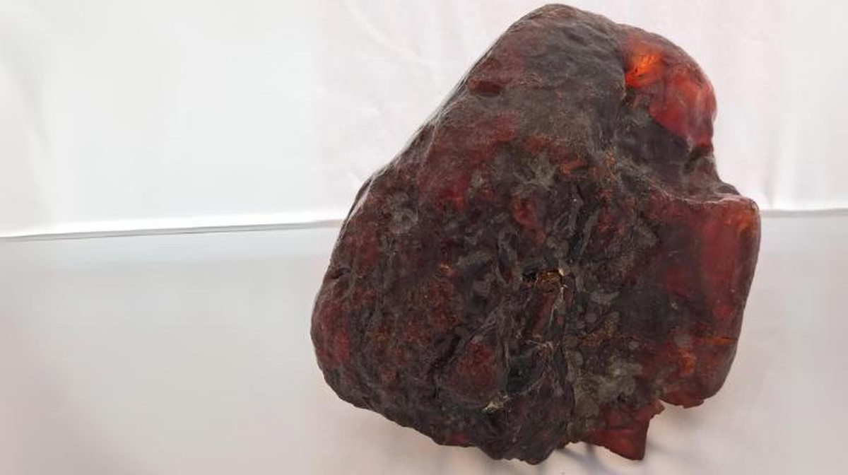 Foto: Bongkahan amber seberat 3,5 kilogram itu merupakan potongan rumanit terbesar yang pernah ditemukan. (Dok. Buzău County Museum)