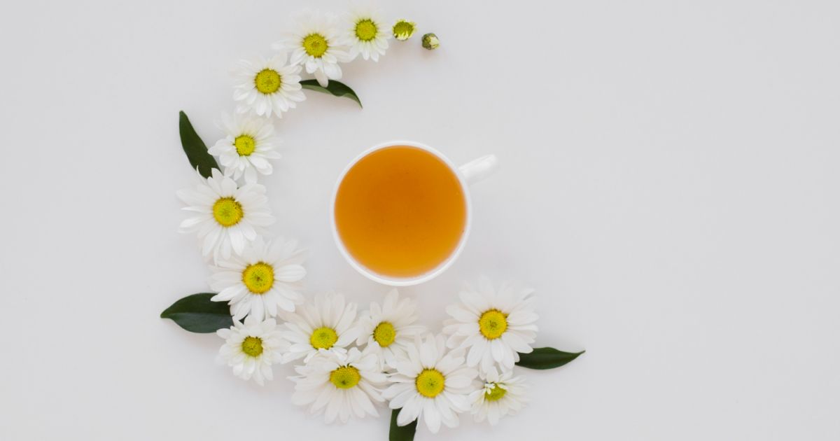 Ilustrasi manfaat teh chamomile untuk kesehatan tubuh [Foto:Magnific]