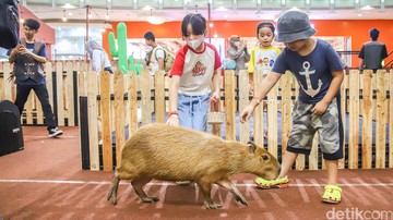 Sejumlah anak menikmati edukasi wisata kebun binatang di dalam Mal Artha Gading, Jakarta Utara, kemarin.