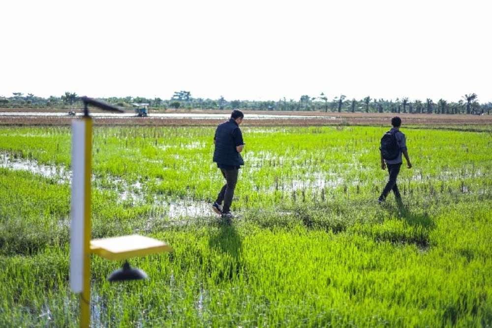 Bank Tanah Catat Aset Menggeliat 16% di Akhir 2025, Bagaimana Proyeksi Laba Bersihnya?