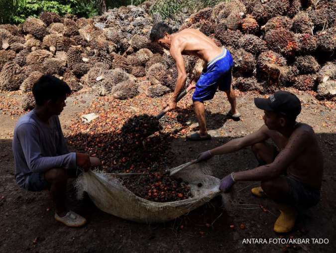 Ilustrasi: Proyeksi Harga CPO Global Terkoreksi: Permintaan India Jadi Biang Keladi Penurunan Signifikan di Juli 2026