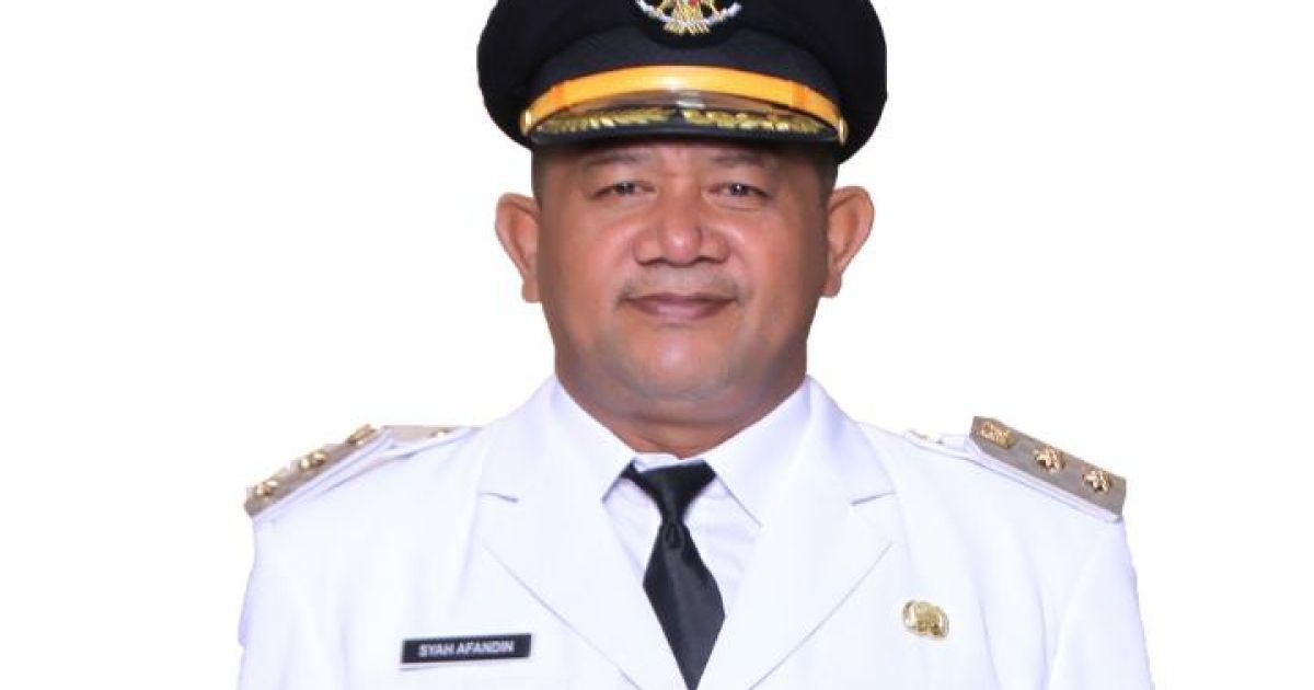 Bupati Langkat, Syah Afandin. (langkatkab.go.id)