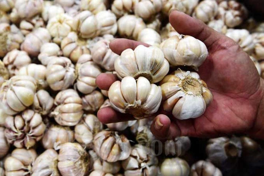 Pemerintah Genjot Realisasi Impor Bawang Putih, Respons Cepat Atasi Guncangan Harga Imbas Kurs Dolar