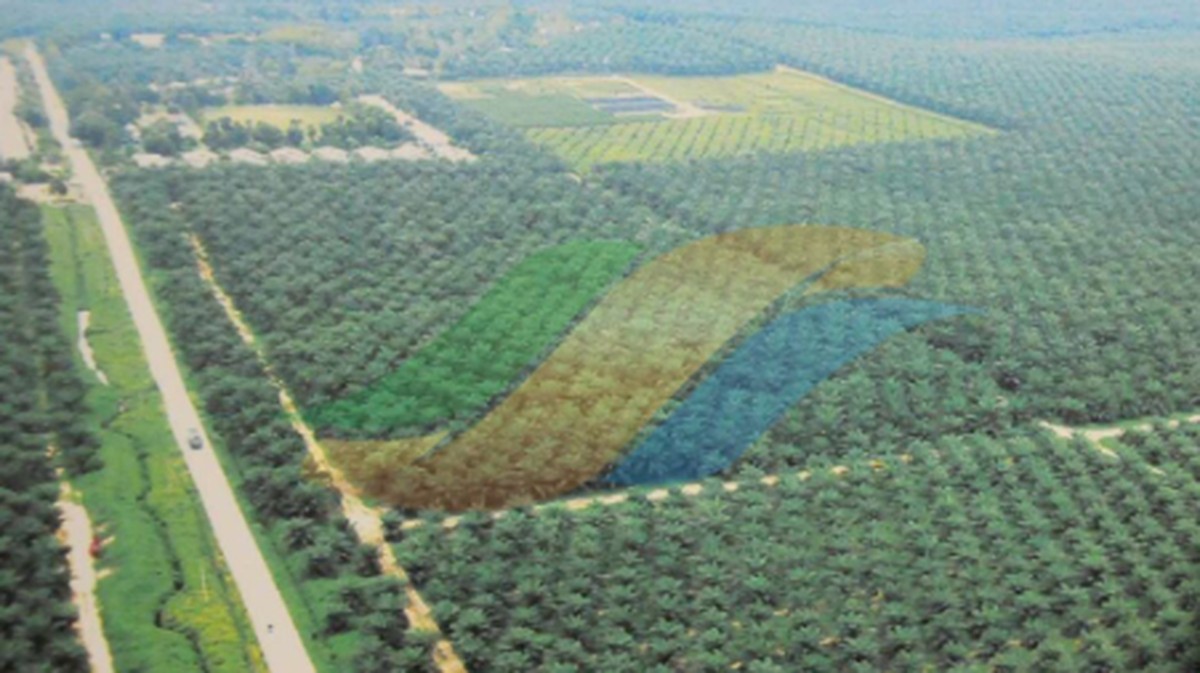 PTPN III Siapkan Amunisi Rp140 Triliun untuk Gempur Swasembada Pangan dan Energi Hijau