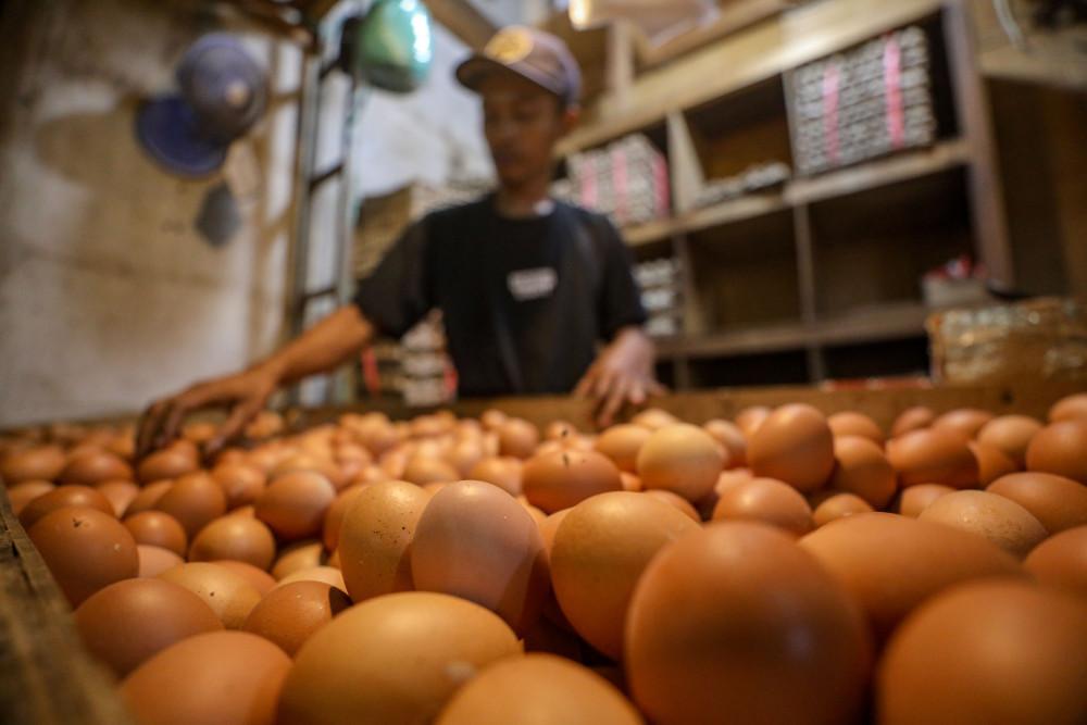 Telur Ayam Berpotensi Masuk Daftar Bansos Beras Periode Juli-September 2026, Bapanas Lakukan Kajian