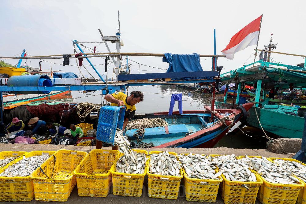 Dongkrak Kesejahteraan Nelayan, Pemerintah Galakkan Kampung Nelayan Merah Putih Targetkan Peningkatan Nilai Tukar