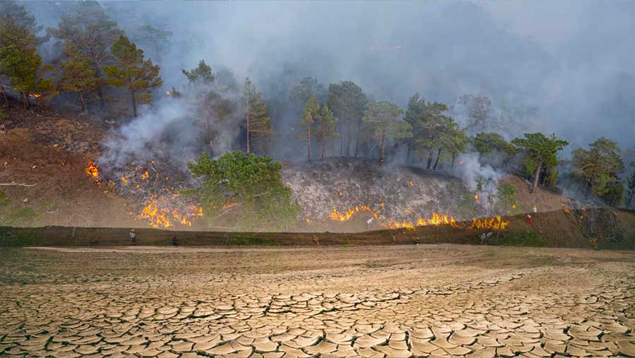 Kebakaran Hutan Ganas di Eropa: Puluhan Ribu Terpaksa Mengungsi dari Jilatan Api