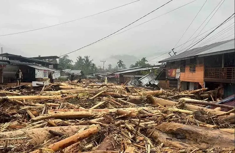 Misteri Kayu Gelondongan di Banjir Bandang Sumatera: Indikasi Deforestasi atau Fenomena Alam?