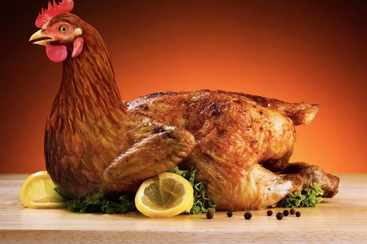 Alarm Pasokan Ayam Nasional! Benarkah Program MBG Picu Krisis dan Kenaikan Harga?